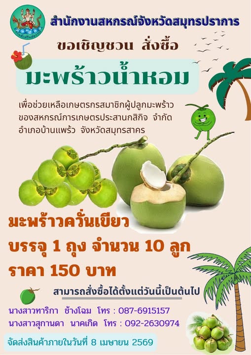 ขอเชิญชวนผู้สนใจสั่งซื้อมะพร้าวน้ำหอม