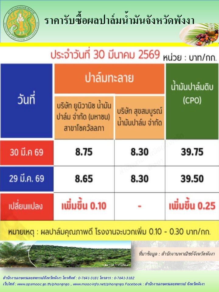 ราคารับซื้อผลปาล์มน้ำมันจังหวัดพังงา