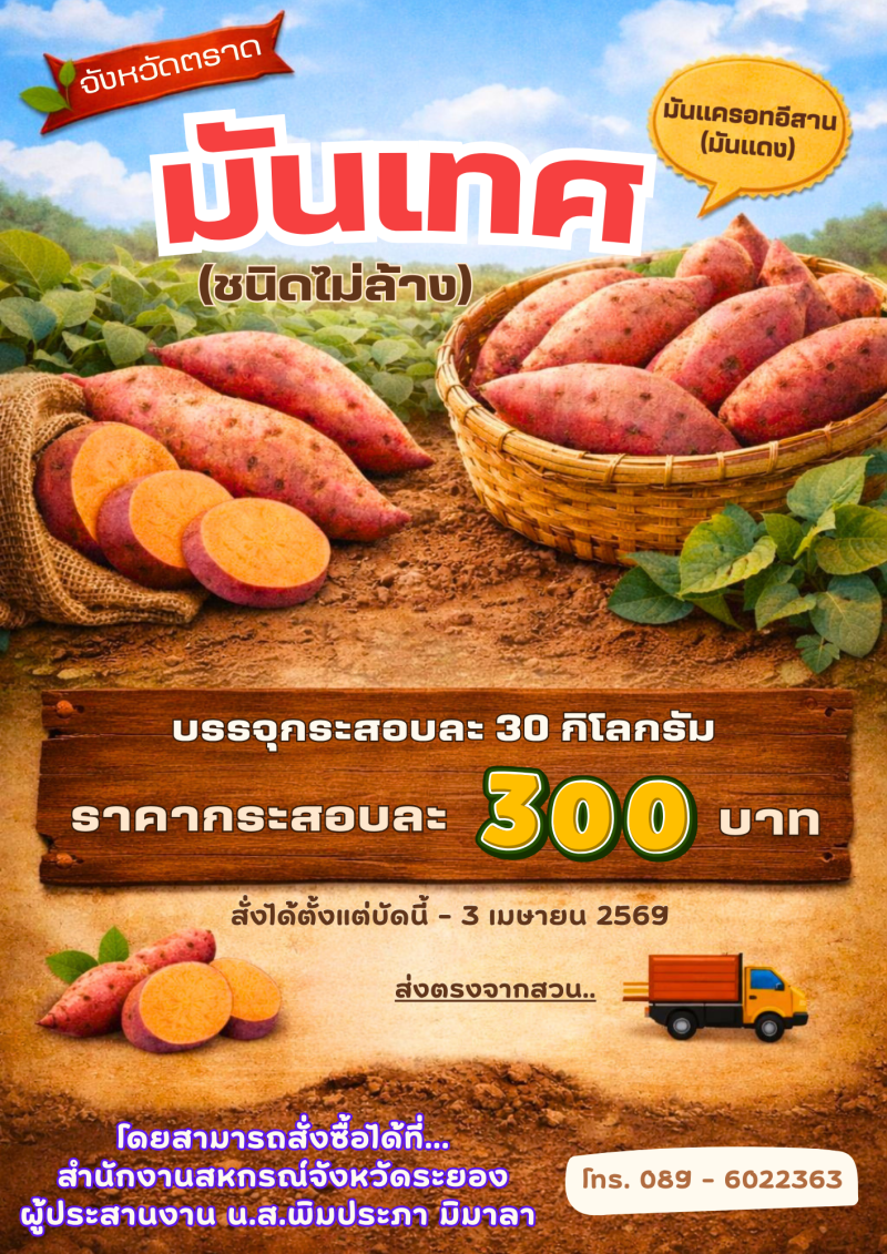 ประชาสัมพันธ์เชิญชวนซื้อมันเทศจากจังหวัดตราด