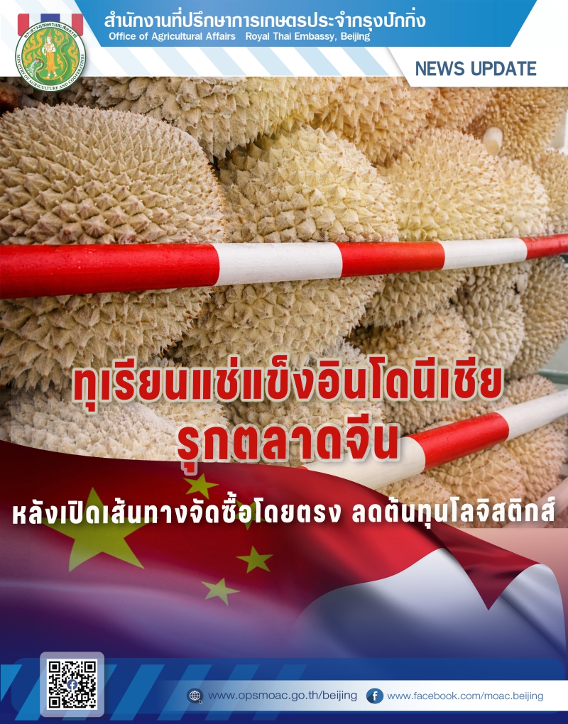 ทุเรียนแช่แข็งอินโดนีเซียรุกตลาดจีน