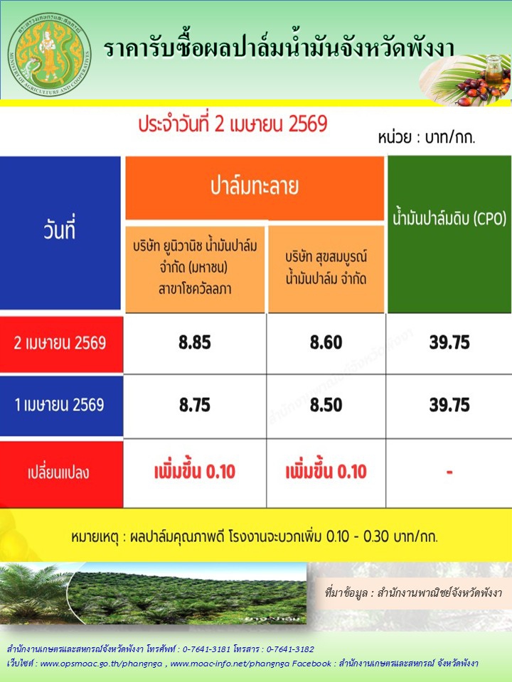 ราคารับซื้อผลปาล์มน้ำมันจังหวัดพังงา