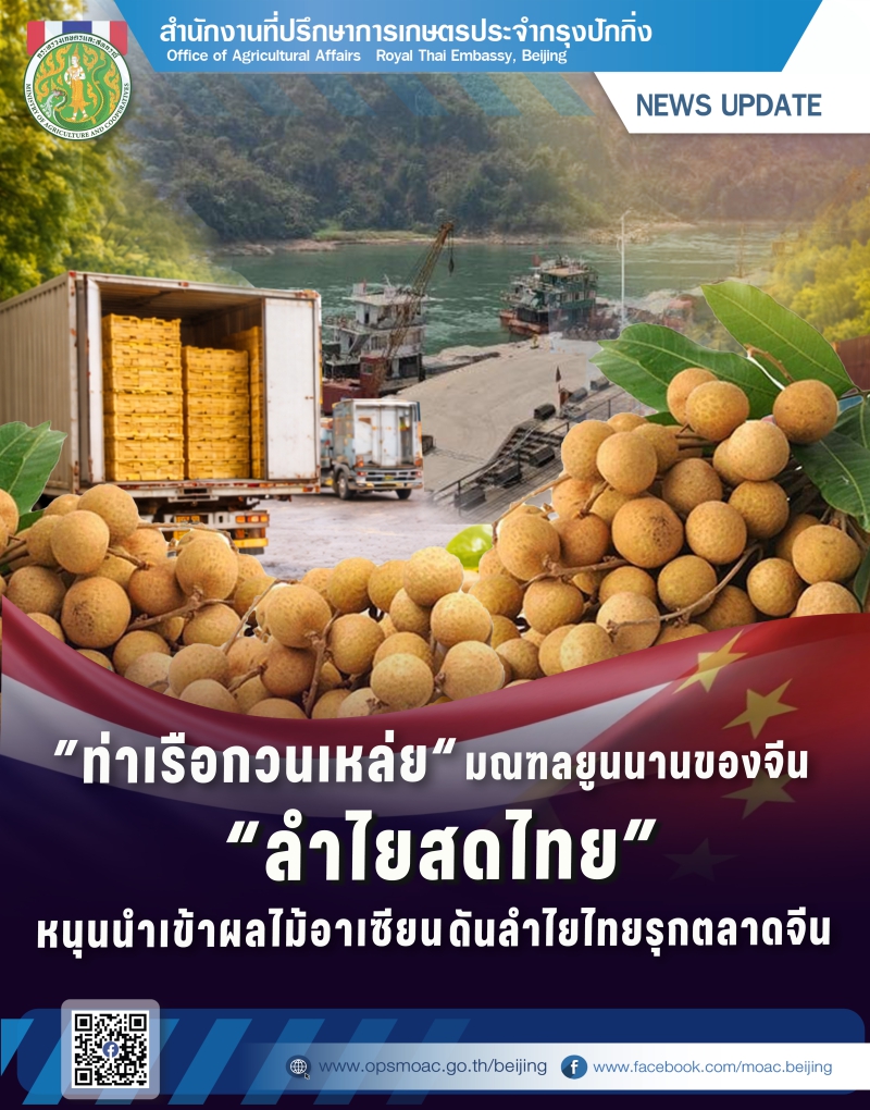 “ท่าเรือกวนเหล่ย”