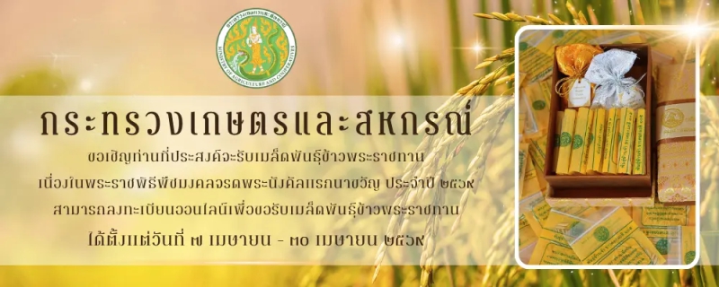 ลงทะเบียนรับเมล็ดพันธุ์ข้าวพระราชทาน