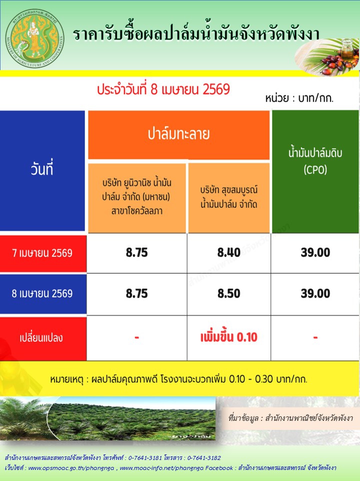 ราคารับซื้อผลปาล์มน้ำมันจังหวัดพังงา
