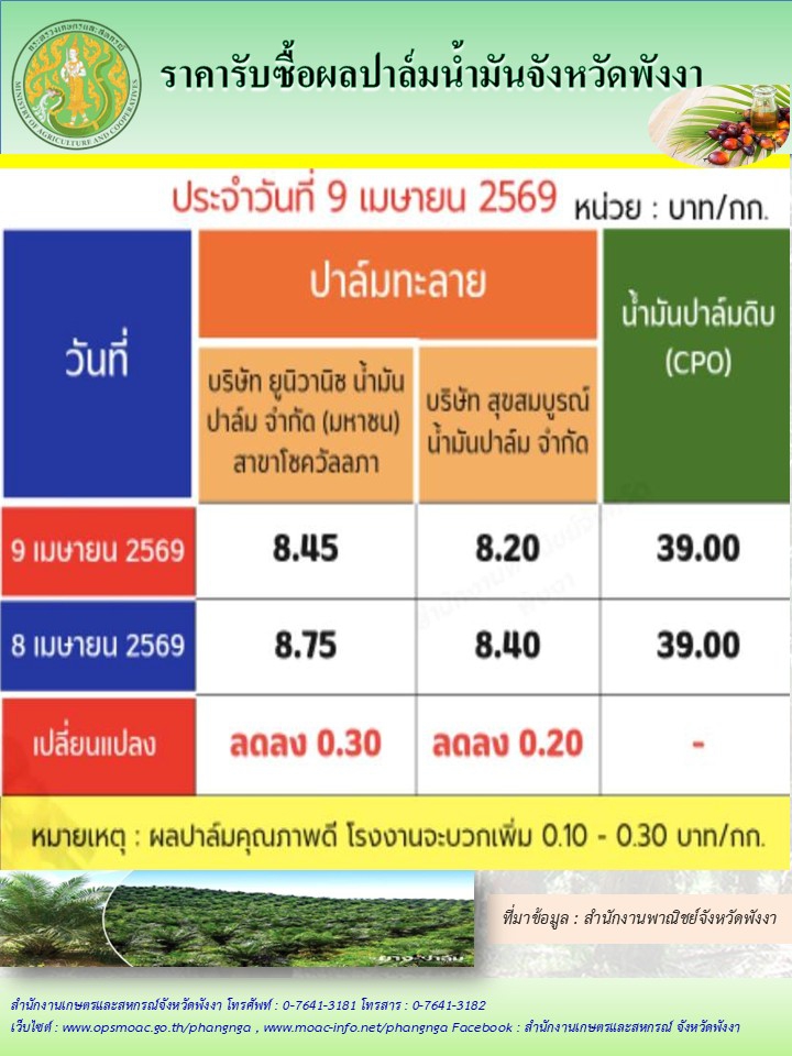 ราคารับซื้อผลปาล์มน้ำมันจังหวัดพังงา