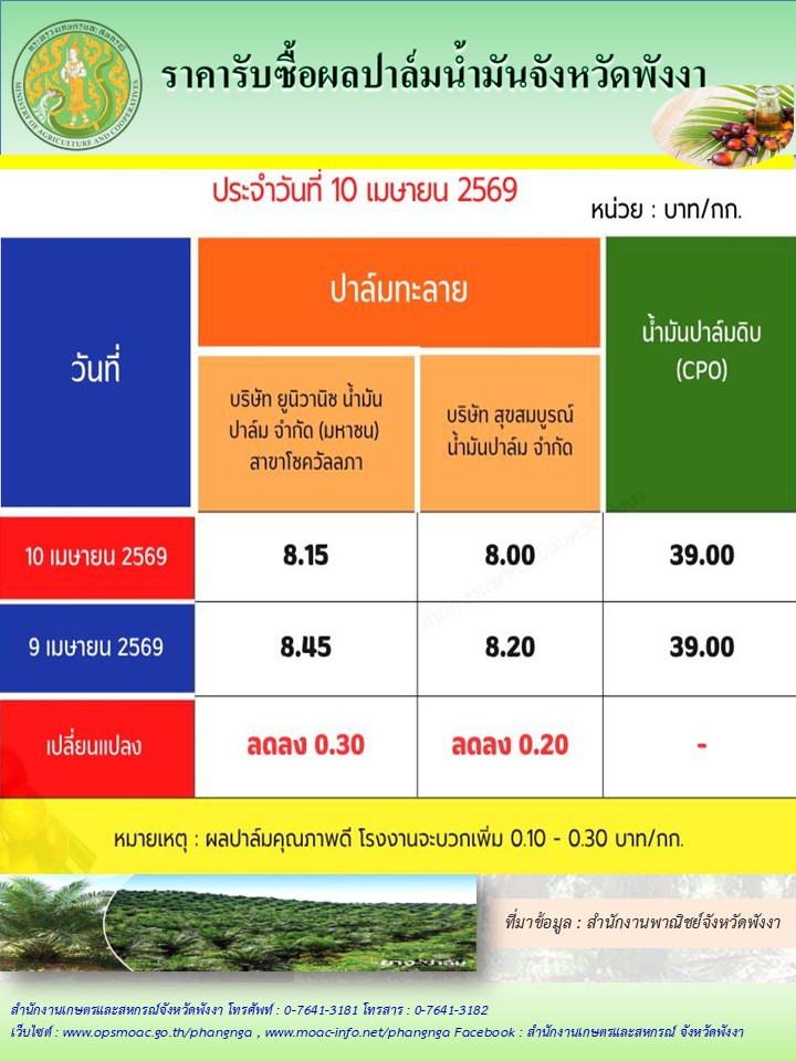 ราคารับซื้อผลปาล์มน้ำมันจังหวัดพังงา