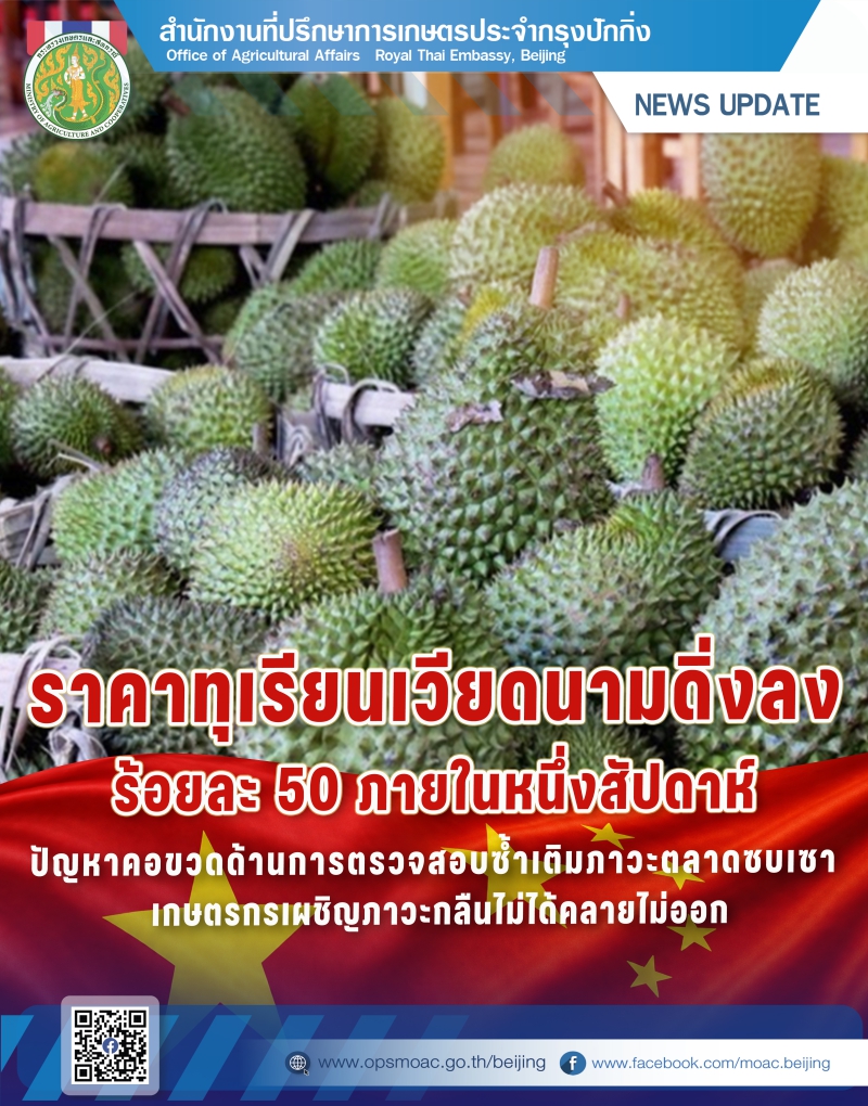 ราคาทุเรียนเวียดนามดิ่งลงร้อยละ