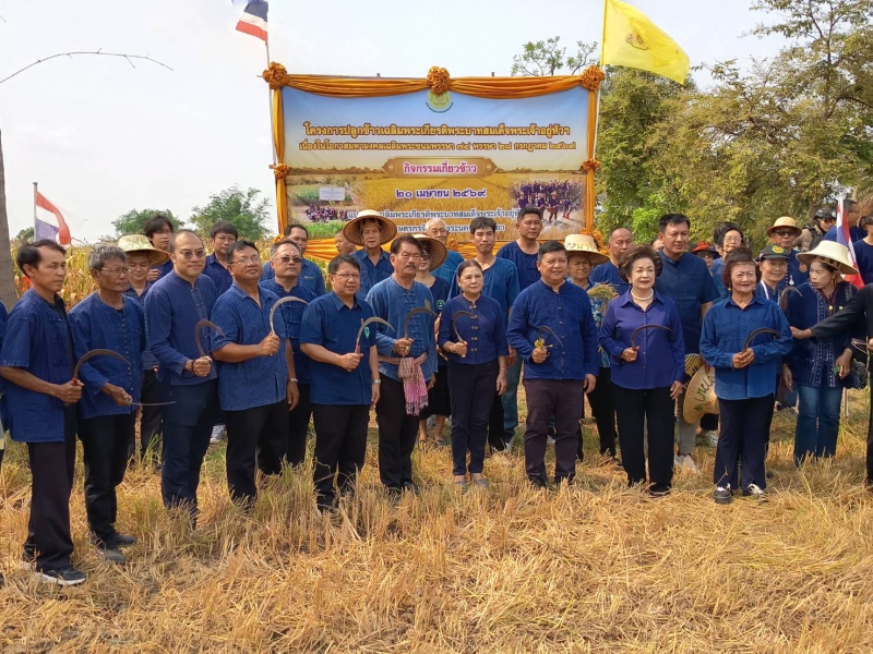 ร่วมเป็นเกียรติในกิจกรรมเกี่ยวข้าว