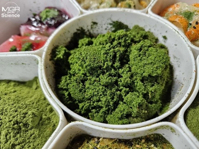 从“芜萍羹”到“嚓萍” 水中小扁豆的时尚转身