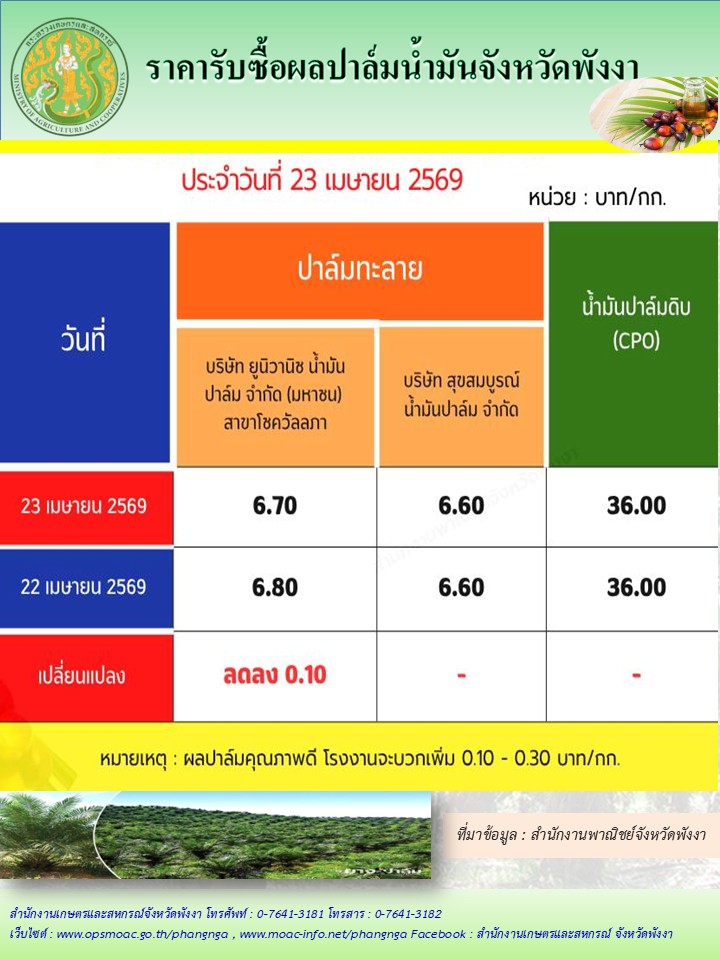 ราคารับซื้อผลปาล์มน้ำมันจังหวัดพังงา