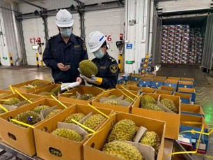 ท่าเรือหนานซาของนครกว่างโจวนำเข้าทุเรียนไทยล็อตแรกของปี