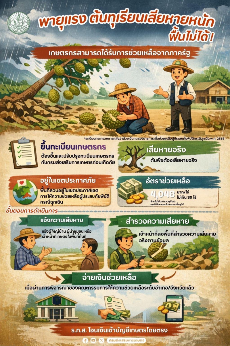 พายุแรงต้นทุเรียนเสียหายหนัก