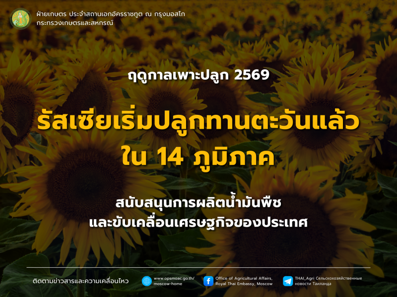 รัสเซียเดินหน้าการเพาะปลูกปี