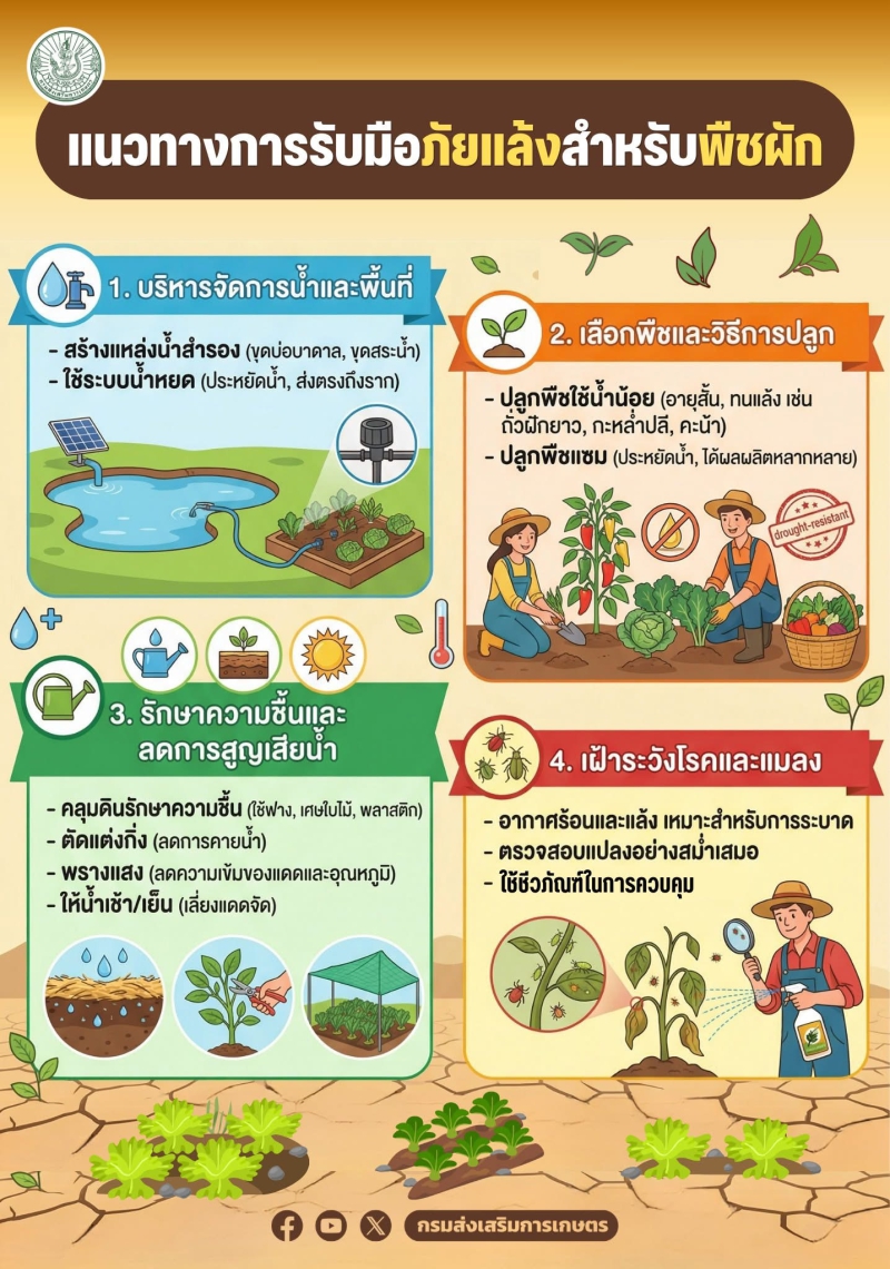 แนวทางการรับมือภัยแล้งสำหรับพืชผัก