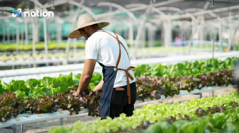 Organic farming becomes a new pillar in the global food trade