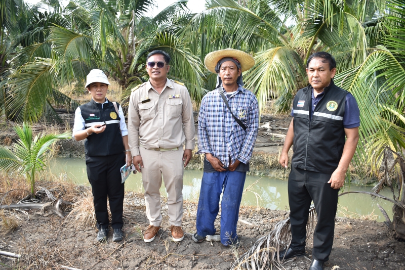 ลงพื้นที่สำรวจและติดตามสถานการณ์การระบาดของด้วงแรดมะพร้าว