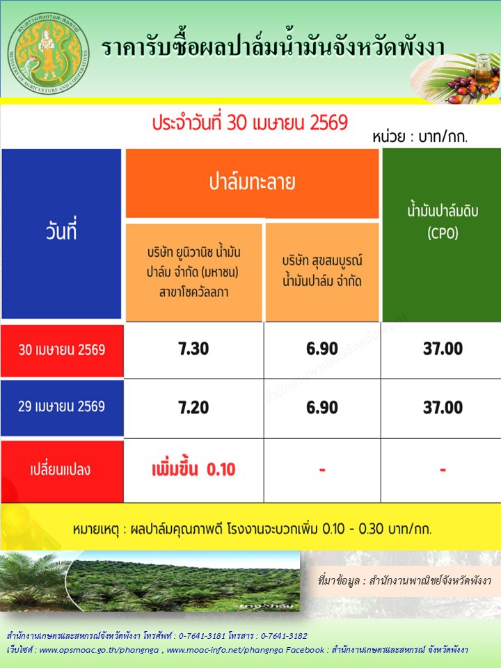 ราคารับซื้อผลปาล์มน้ำมันจังหวัดพังงา