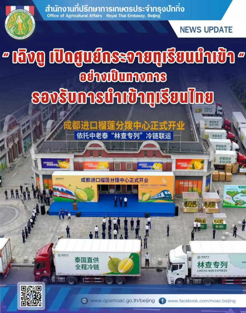 เฉิงตูเปิดตัวศูนย์กระจายสินค้าทุเรียนนำเข้าอย่างเป็นทางการ