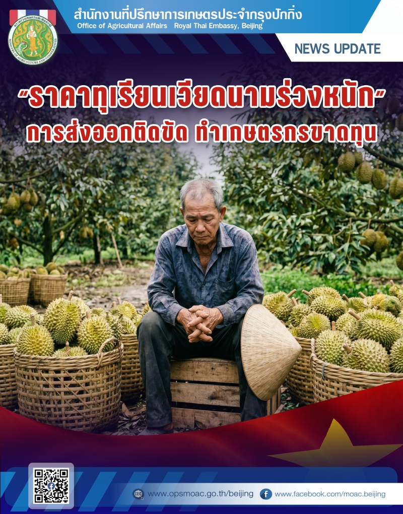 ราคาทุเรียนเวียดนามร่วงหนัก