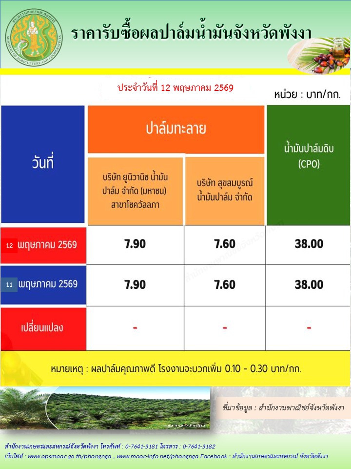 ราคารับซื้อผลปาล์มน้ำมันจังหวัดพังงา