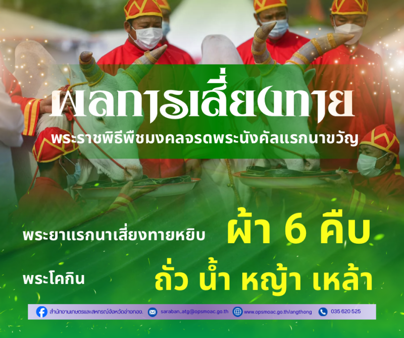 ผลเสี่ยงทายพระราชพิธีพืชมงคลจรดพระนังคัลแรกนาขวัญ