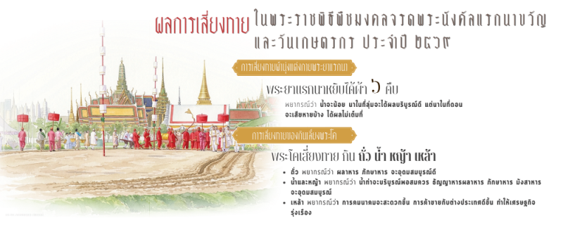 ผลการเสี่ยงทายในพระราชพิธีพืชมงคลจรดพระนังคัลแรกนาขวัญ