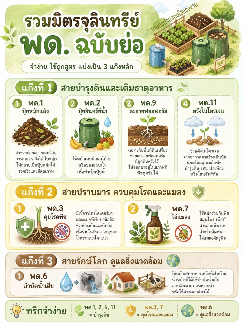 เราสามารถแบ่ง พด. ออกเป็น 3 แก๊งหลักๆ ตามการใช้งานจริง