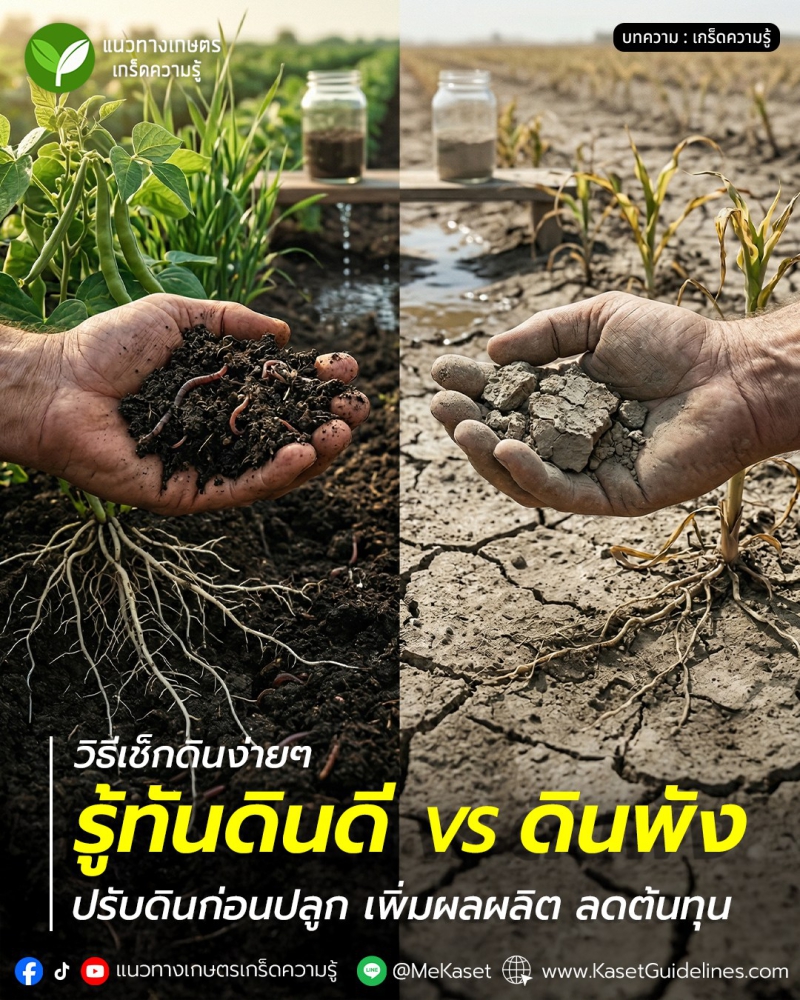 วิธีเช็กดินง่ายๆ“รู้ทันดินดีVSดินพัง”