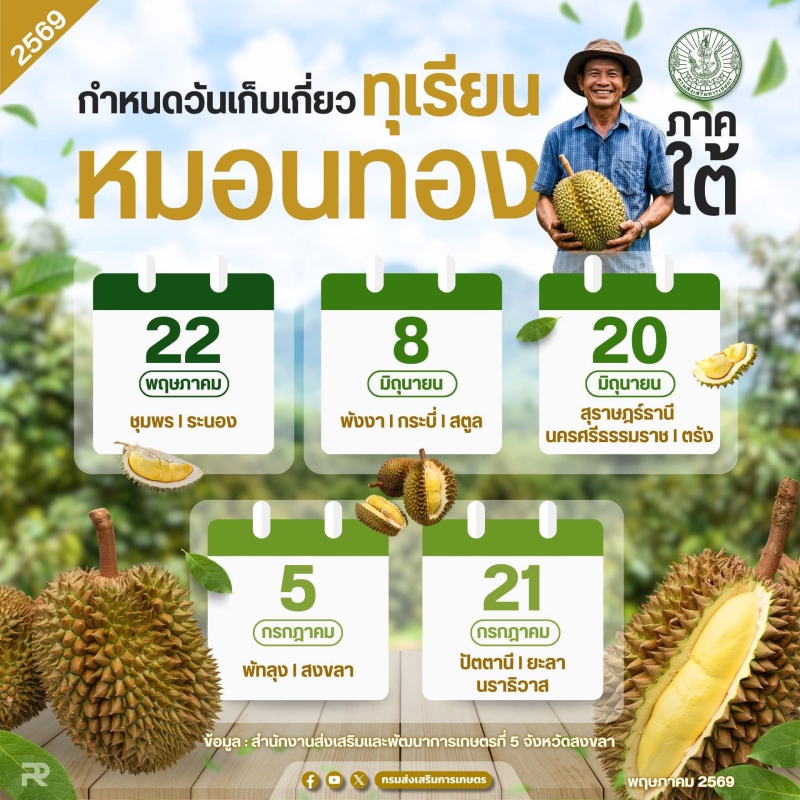 กำหนดวันเก็บเกี่ยว ทุเรียนหมอนทอง ภาคใต้ ปี 2569