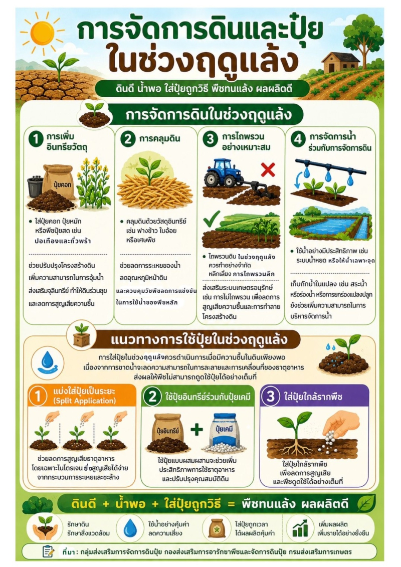 เเนวทางการจัดการดินเเละปุ๋ยในช่วงเเล้ง