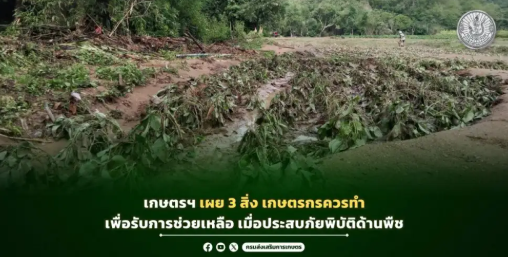 เกษตรฯเผย3สิ่งเกษตรกรควรทำเพื่อรับการช่วยเหลือ