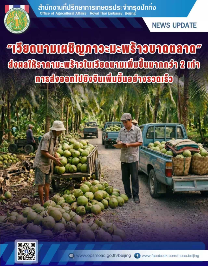 เวียดนามเผชิญภาวะมะพร้าวขาดตลาด