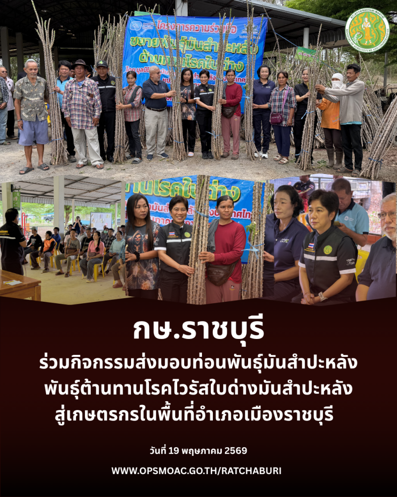 กิจกรรมส่งมอบท่อนพันธุ์มันสำปะหลังพันธุ์ต้านทานโรคไวรัสใบด่างมันสำปะหลัง