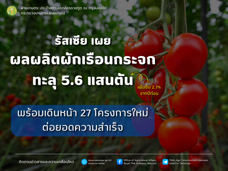 ผลผลิตผักเรือนกระจกรัสเซียทะลุ