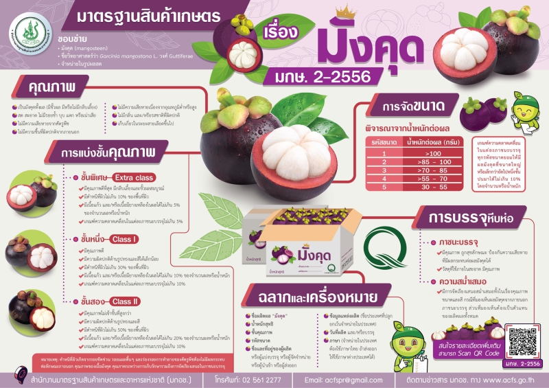 มังคุดคุณภาพต้องได้มาตรฐานรู้หรือไม่?