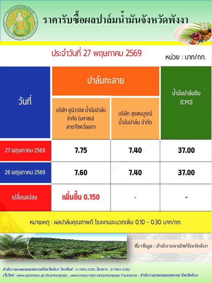 ราคารับซื้อผลปาล์มน้ำมันจังหวัดพังงา