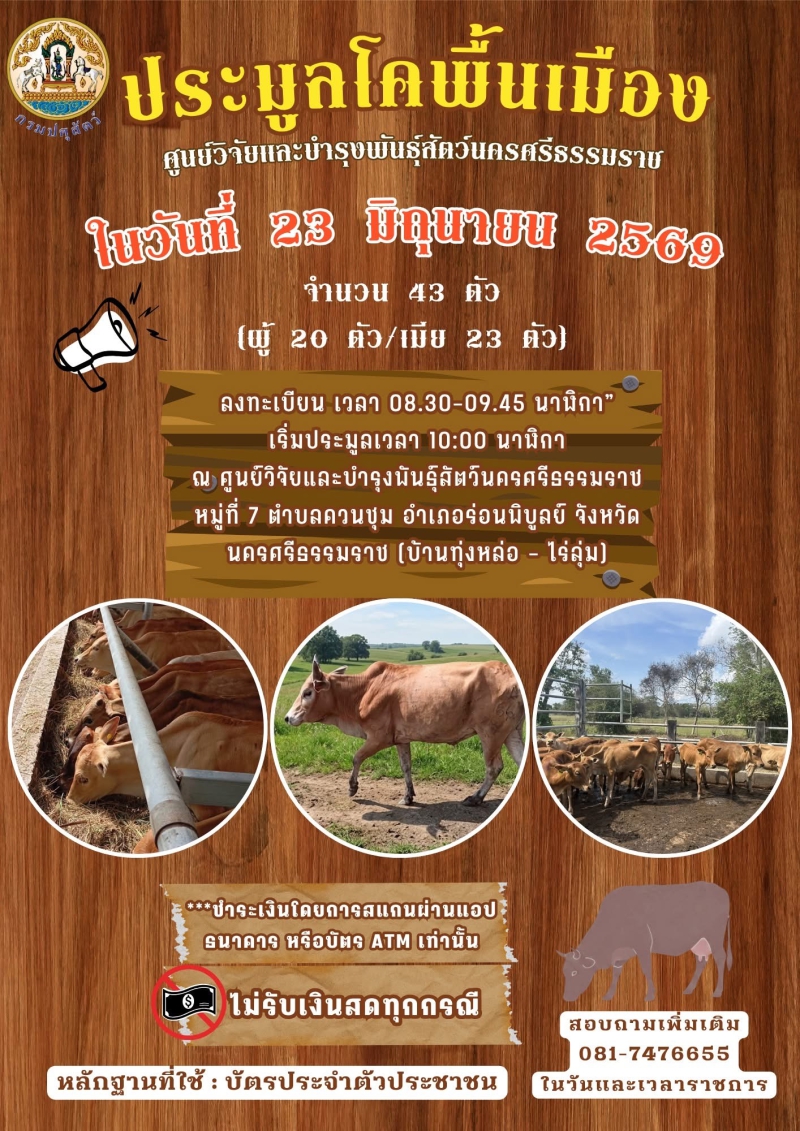 ประชาสัมพันธ์“ประมูลโคพื้นเมือง”