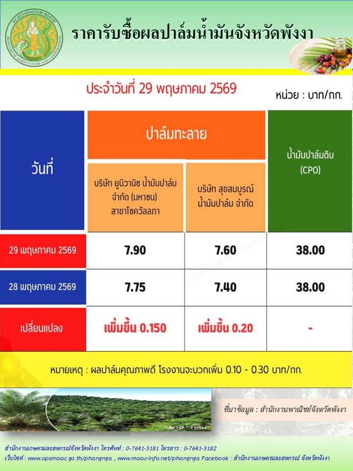 ราคารับซื้อผลปาล์มน้ำมันจังหวัดพังงา