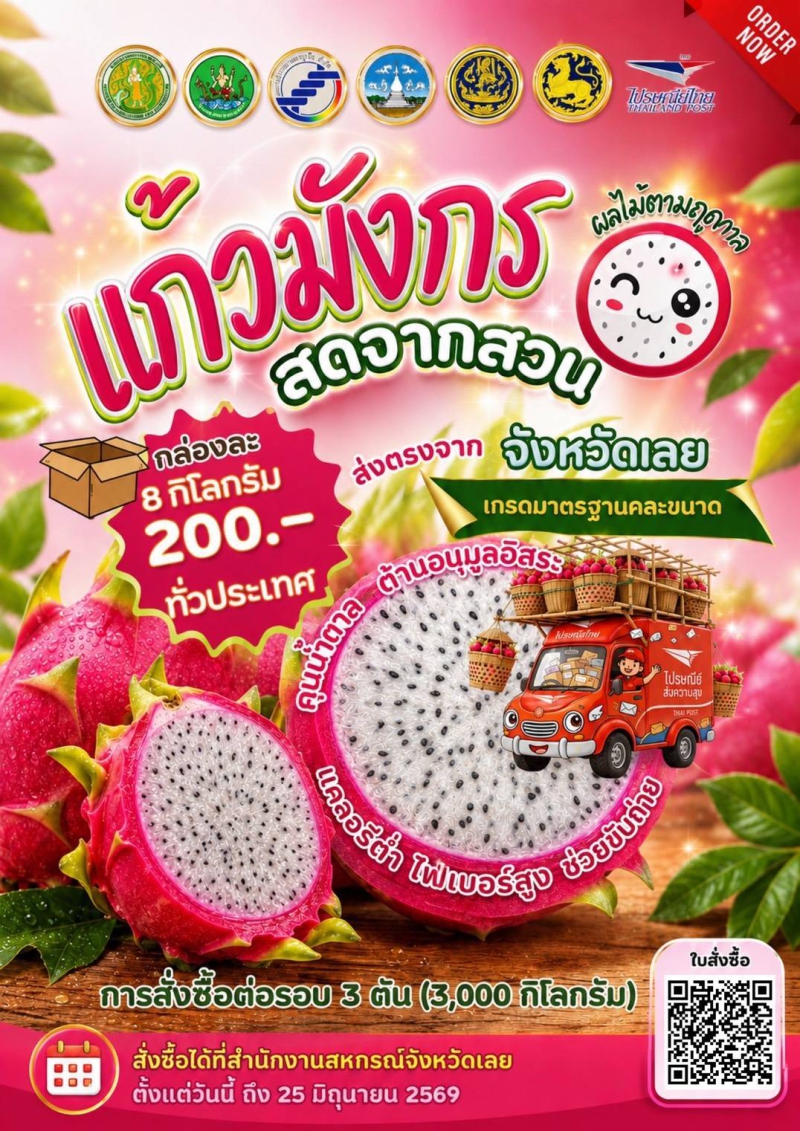 แก้วมังกรสดจากสวน ส่งตรงจากเลย เกรดมาตรฐานคละขนาด