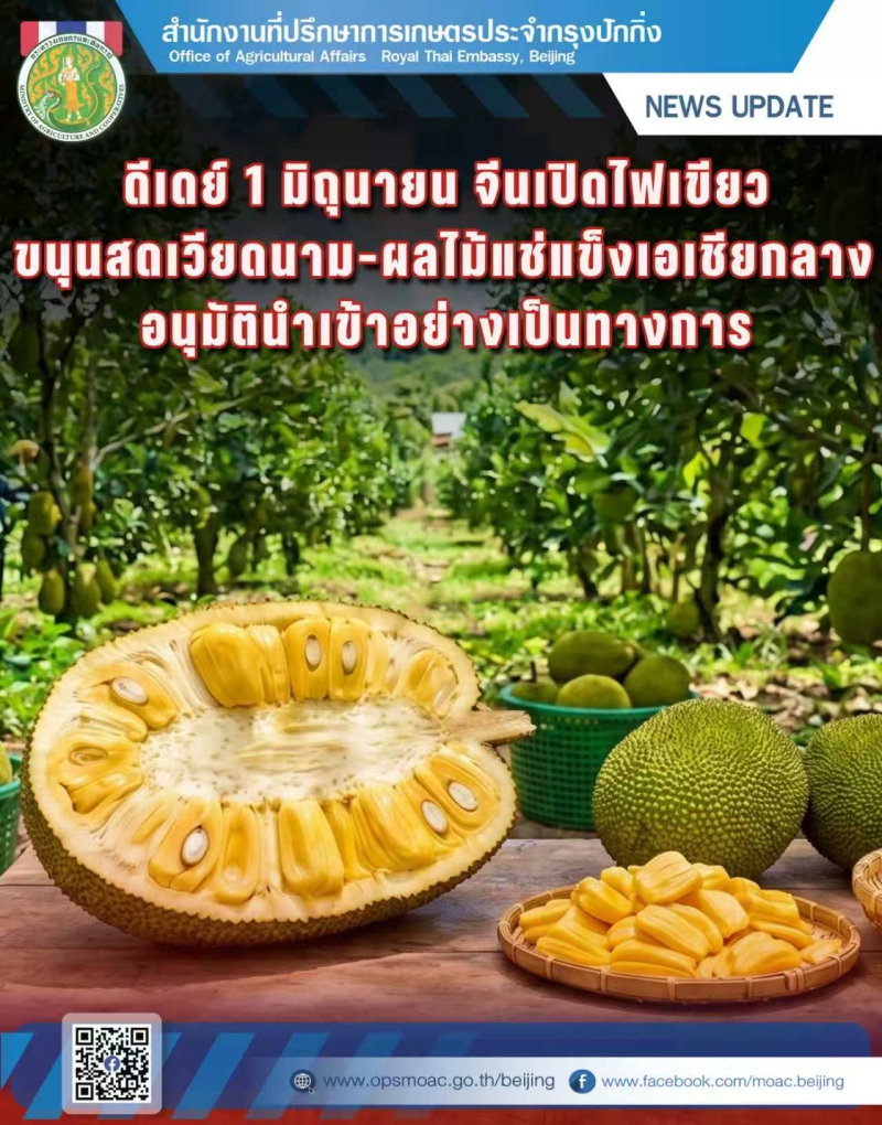 ดีเดย์1มิถุนายนจีนเปิดไฟเขียว!อนุมัตินำเข้า