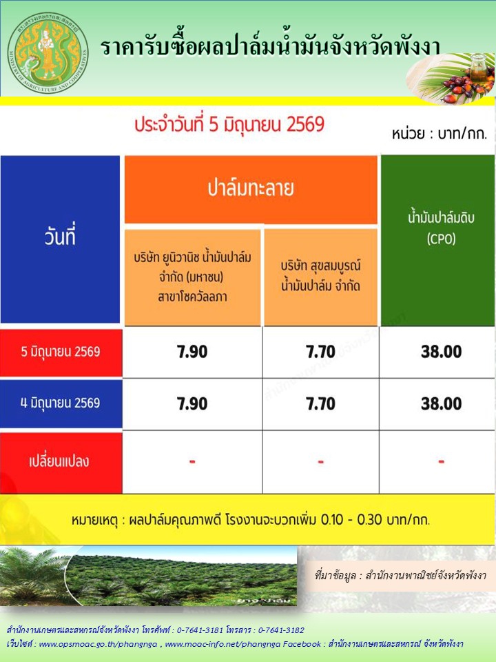 ราคารับซื้อผลปาล์มน้ำมันจังหวัดพังงา