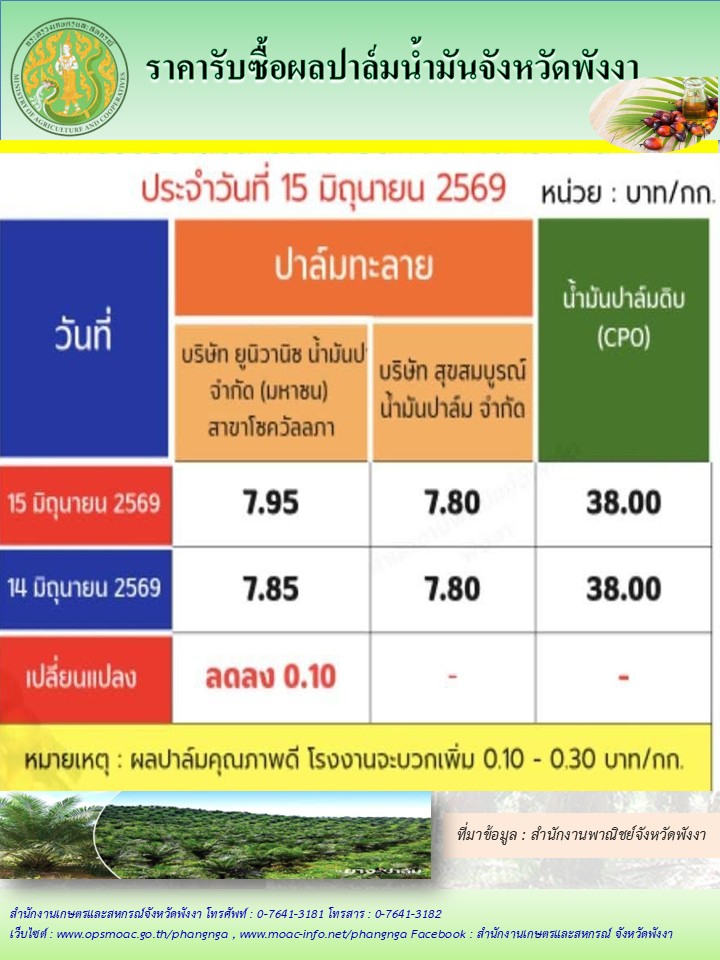 ราคารับซื้อผลปาล์มน้ำมันจังหวัดพังงา
