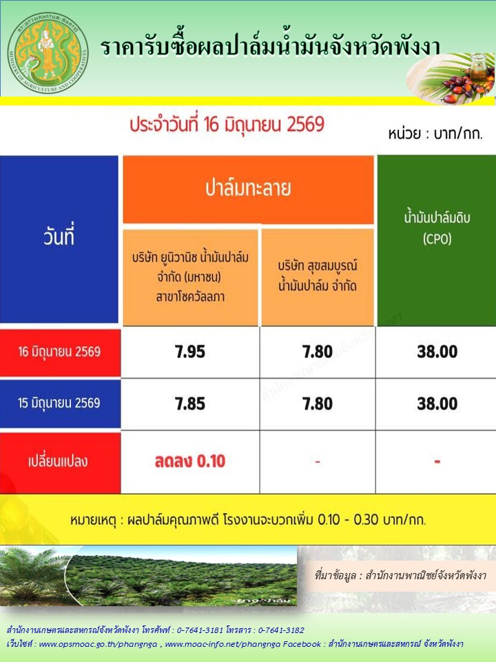 ราคารับซื้อผลปาล์มน้ำมันจังหวัดพังงา