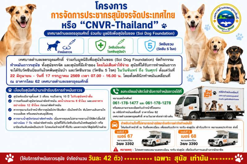 กิจกรรมทำหมันถาวรสุนัขทั้งสุนัขจรจัด
