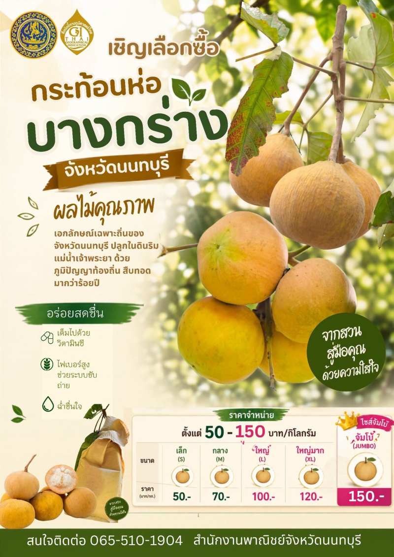 เชิญชวนเลือกซื้อ กระท้อนห่อบางกร่าง