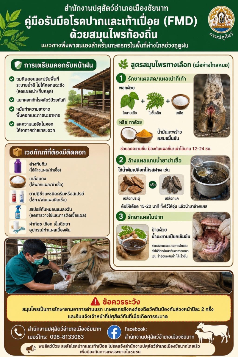 ป้องกันโรคปากและเท้าเปื่อย (FMD) ด้วยสมุนไพรท้องถิ่น
