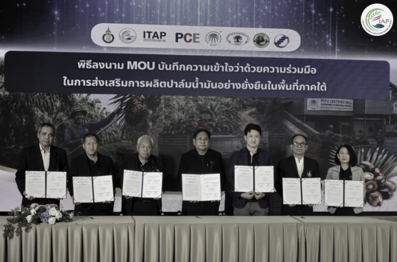 PCEเร่งเครื่องปาล์มยั่งยืน