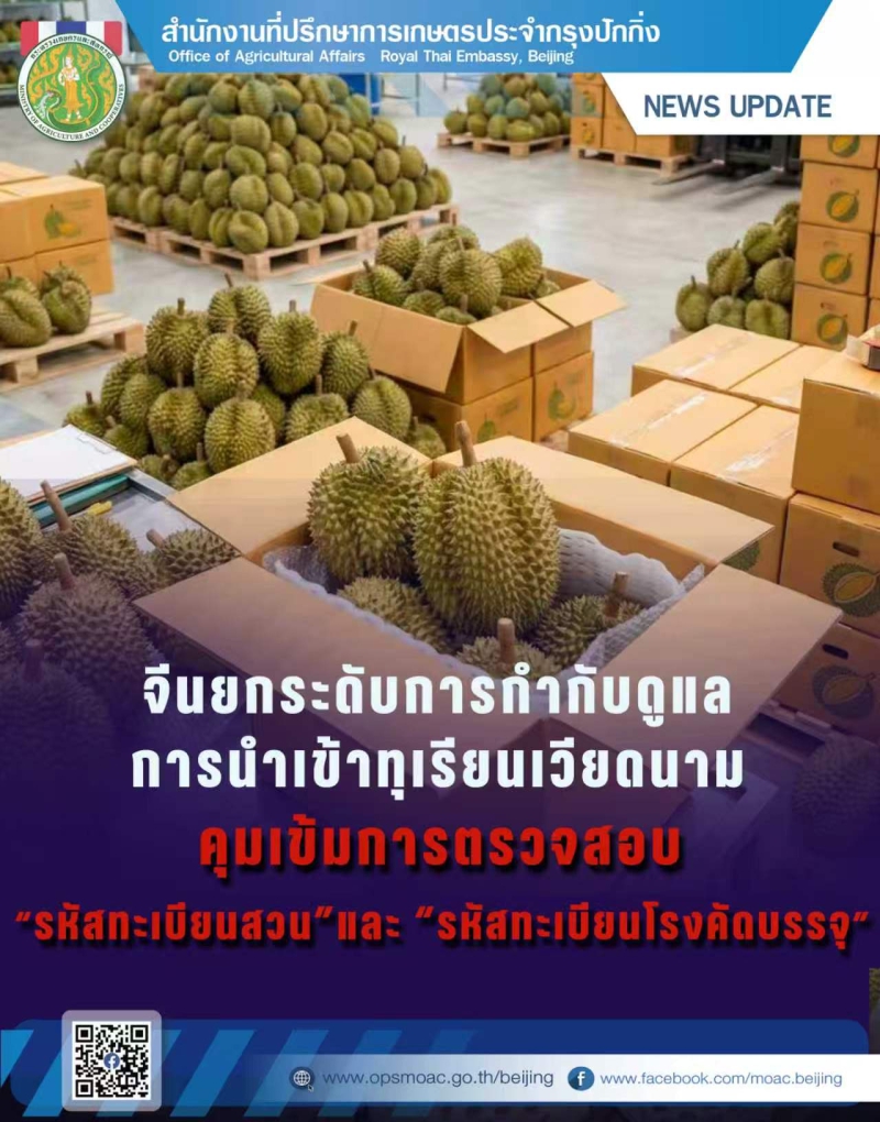 จีนยกระดับการกำกับดูแลการนำเข้าทุเรียนเวียดนาม