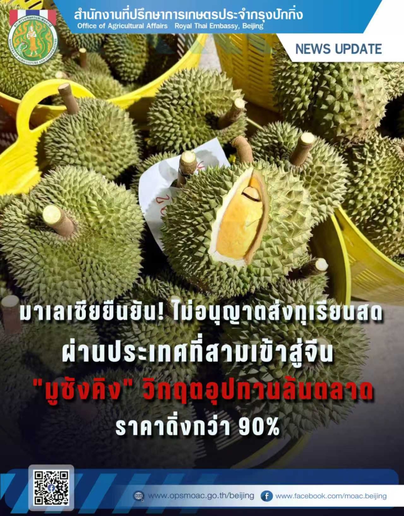 มาเลเซียยืนยัน!ไม่อนุญาตส่งทุเรียนสดผ่านประเทศที่สามเข้าสู่จีน