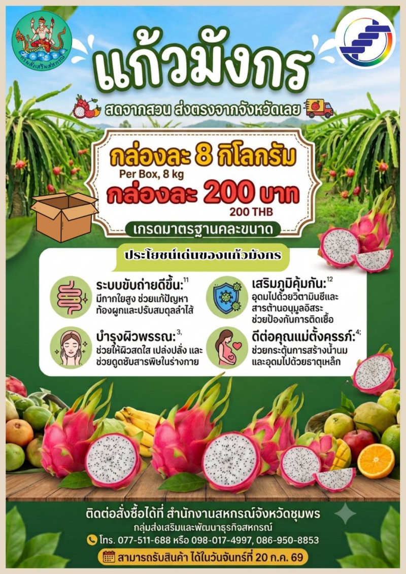ประชาสัมพันธ์ แก้วมังกร สดจาดสวน ส่งตรงจากจังหวัดเลย